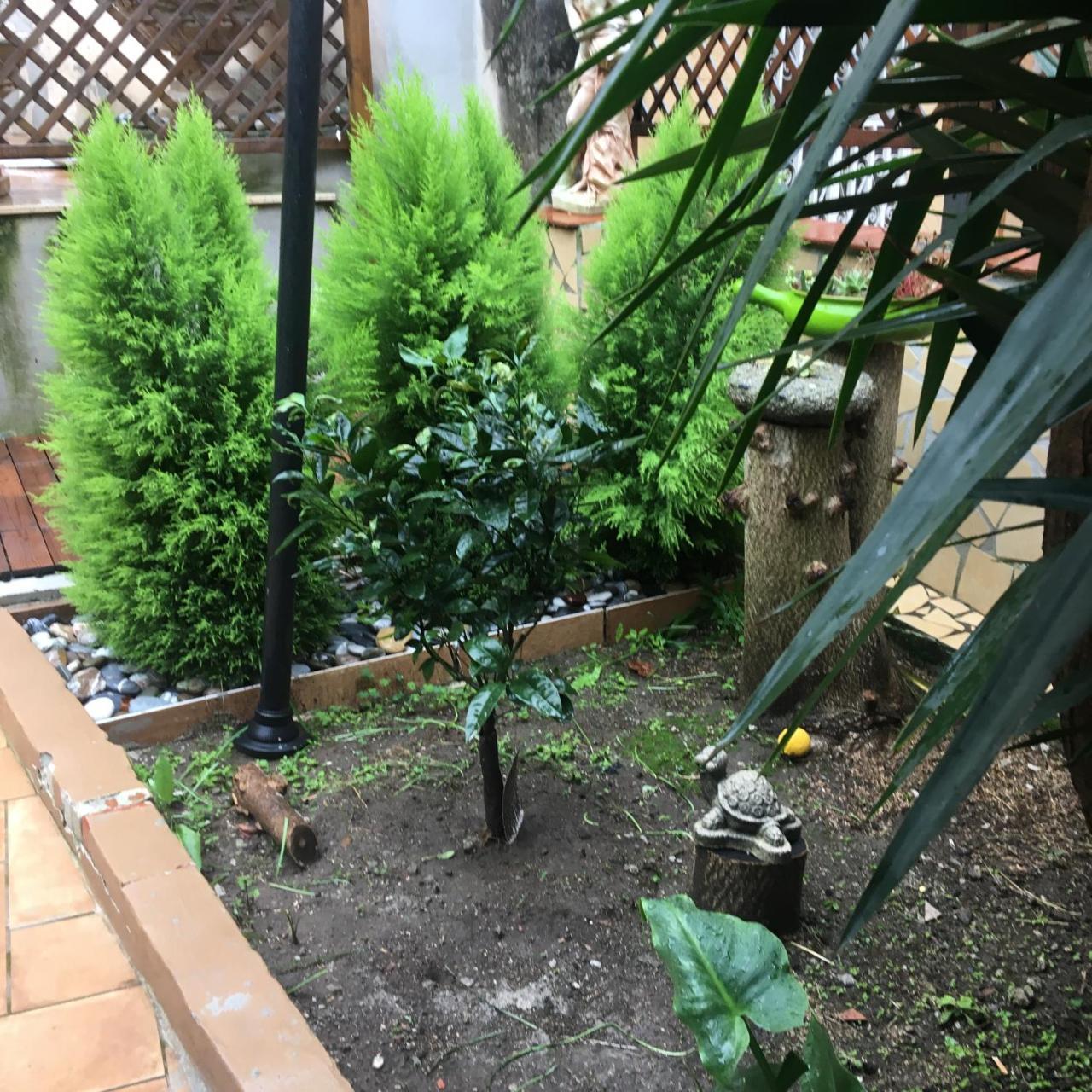 לינה וארוחת בוקר נאפולי Il Giardino Di Daphne מראה חיצוני תמונה